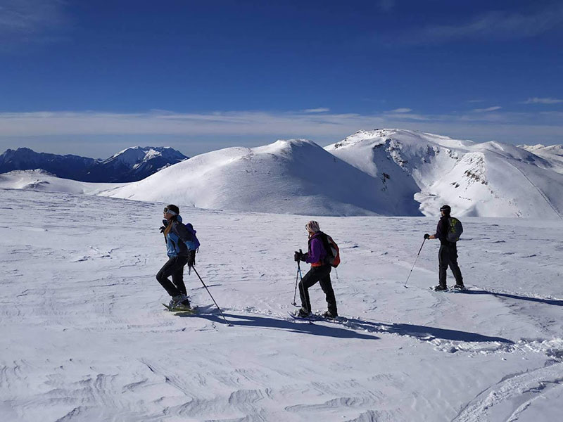 Raquewtas col de pal